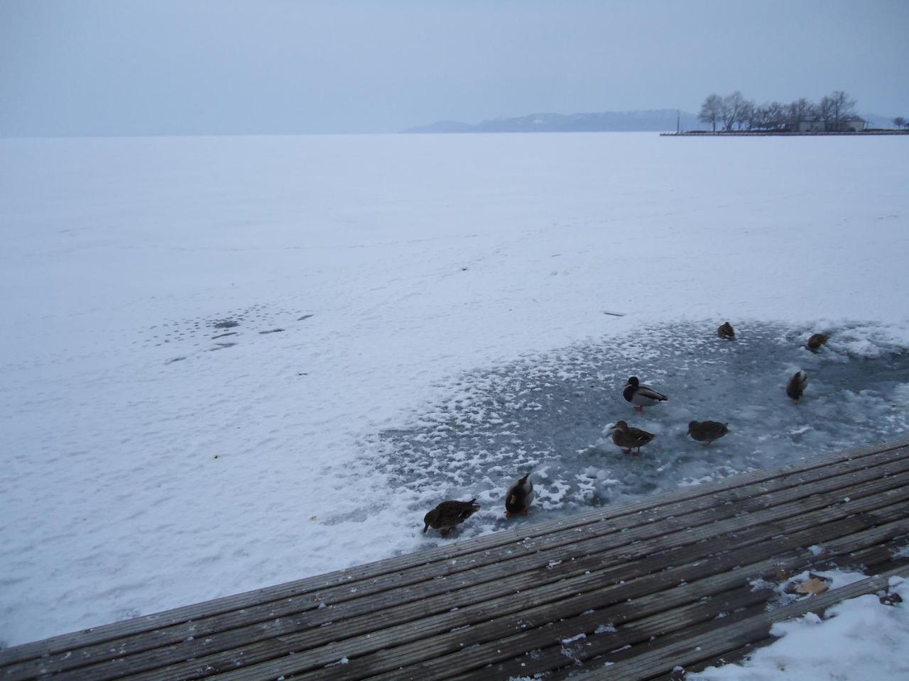 Kek Laguna Vendeghaz Balatonfüred Eksteriør bilde